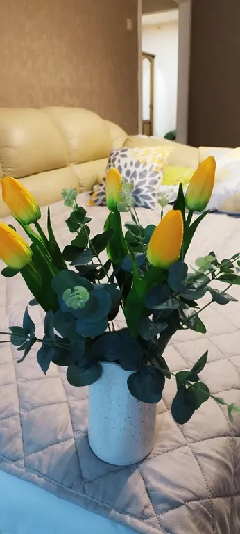 Уютная однокомнатная квартира