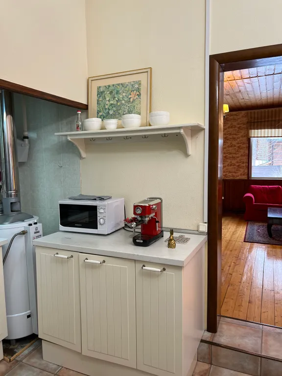 Загородный дом в соснах недалеко от Москвы