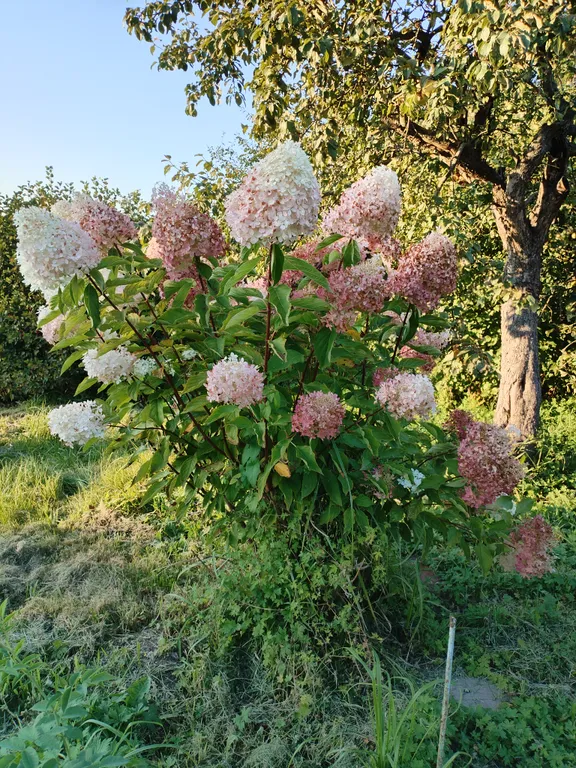 Дом у Кремля