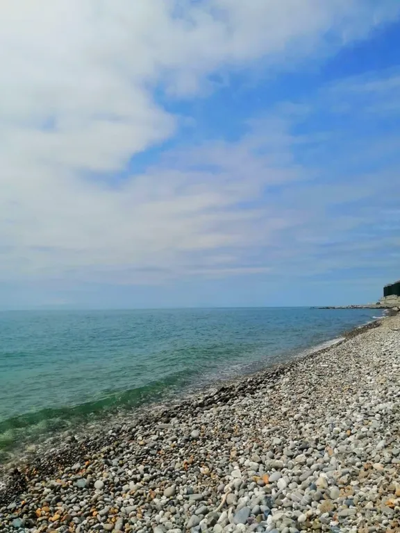 Уютная студия с видом на лес