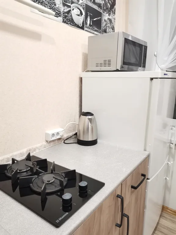 Уютная квартира на центральной улице города