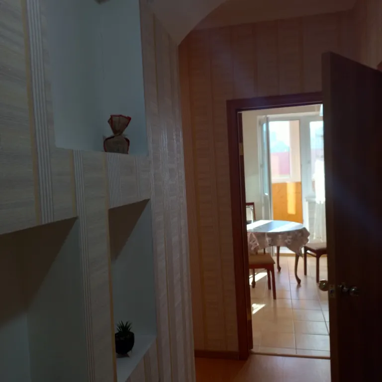 Однакомнатная квартира у трц Остров