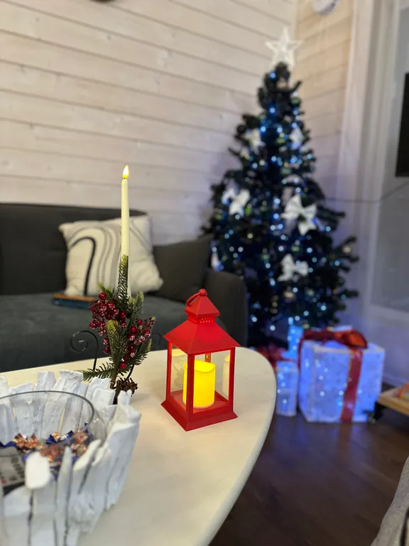 Коттедж Дом в одном из самых красивых мест для семейного отдыха — Сиверский