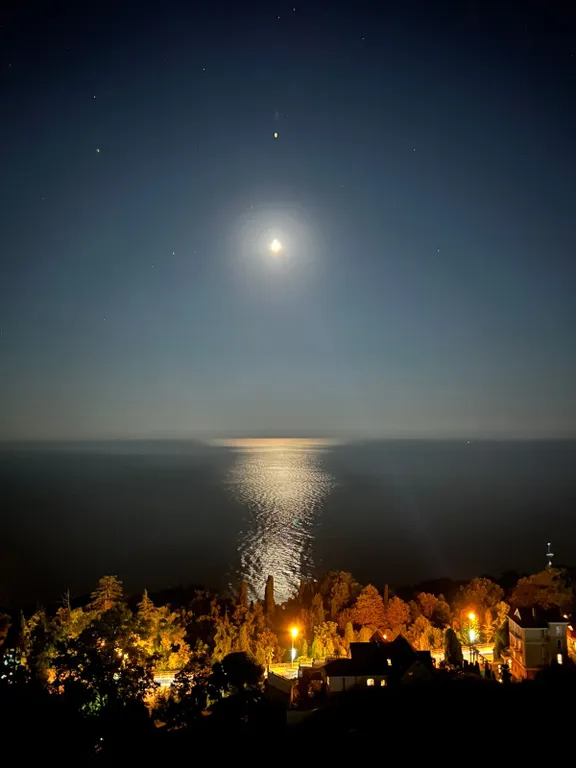 Студия южное море