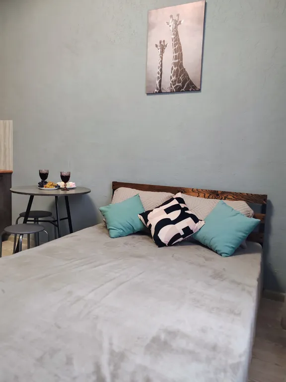 Квартира Уютная студия — аренда посуточно в Красноярск