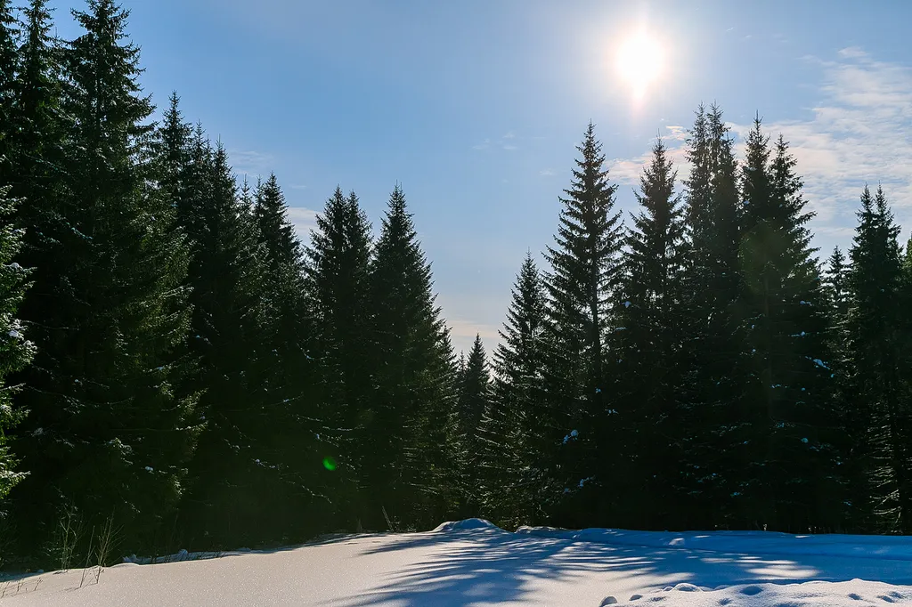 Дом на Опушке