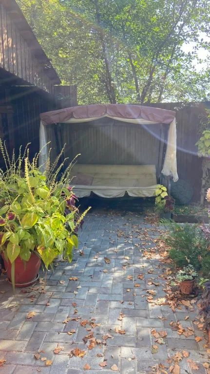 Дом в лесу у залива