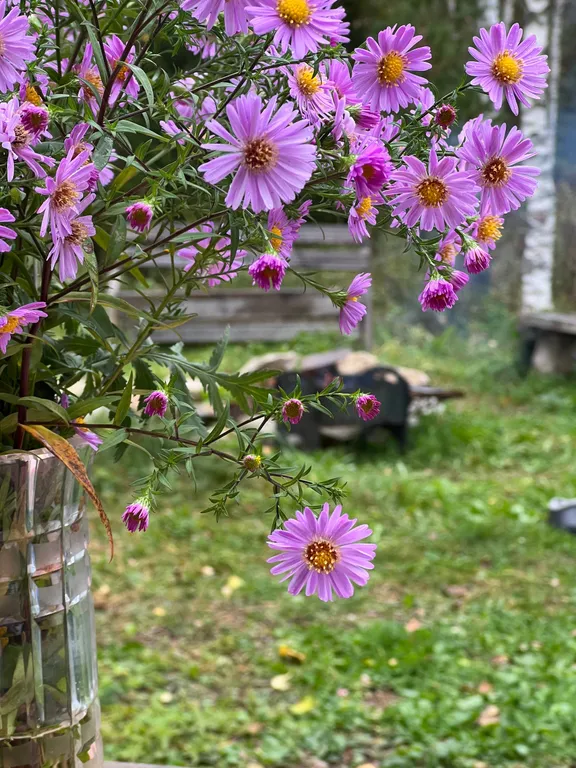 Домик Уют Самана в Родовом поместье в лесу