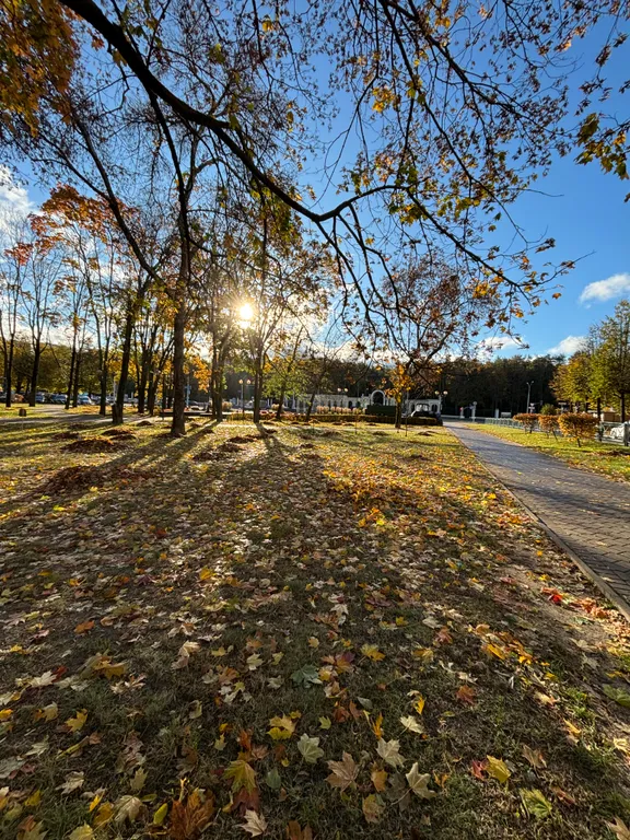 Квартира Квартира Apartment lucky park в центре — Минск