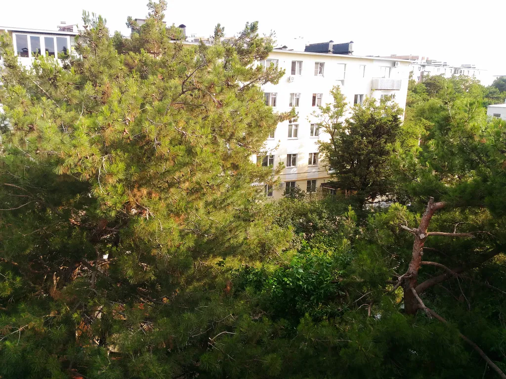 Квартира Квартира близко к морю — Геленджик