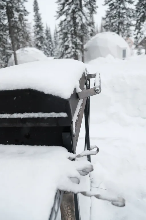 Большой уютный дом с видом на лес