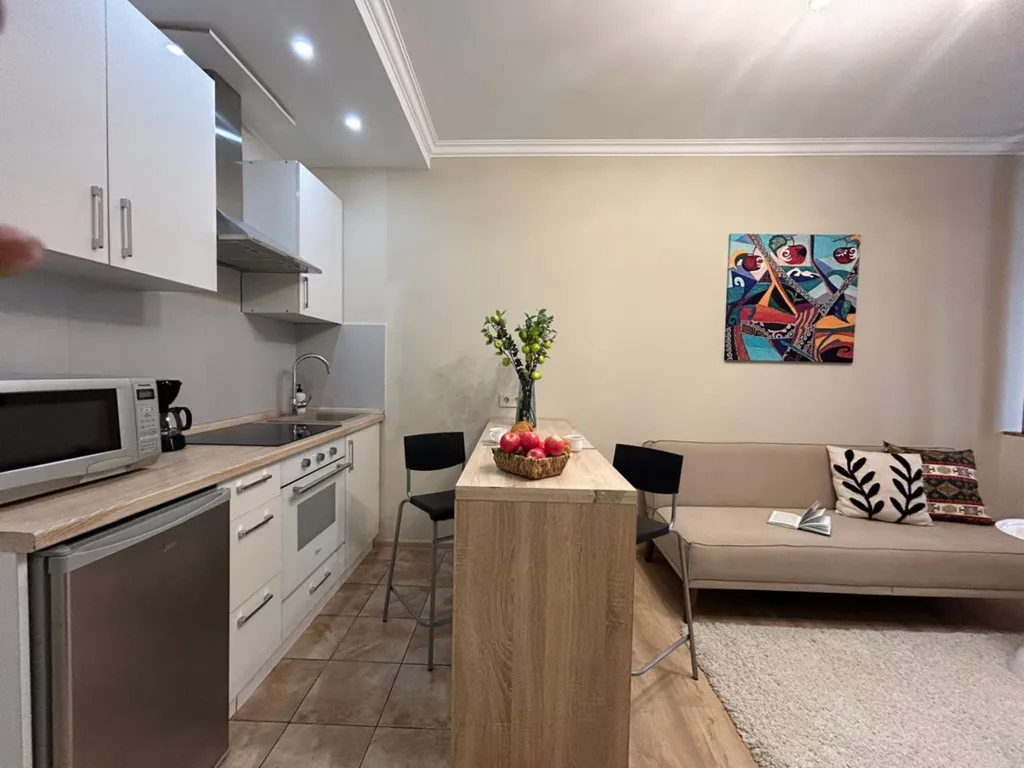 Студия Алма с прекрасным видом на город