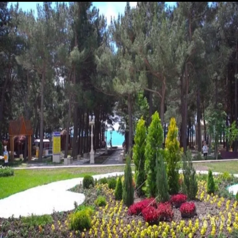 Уютная студия у моря (М)