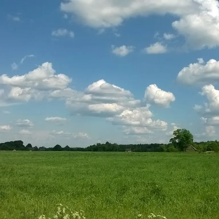 Уютный домик в Беловежской пуще, для тех, кто ценит тишину