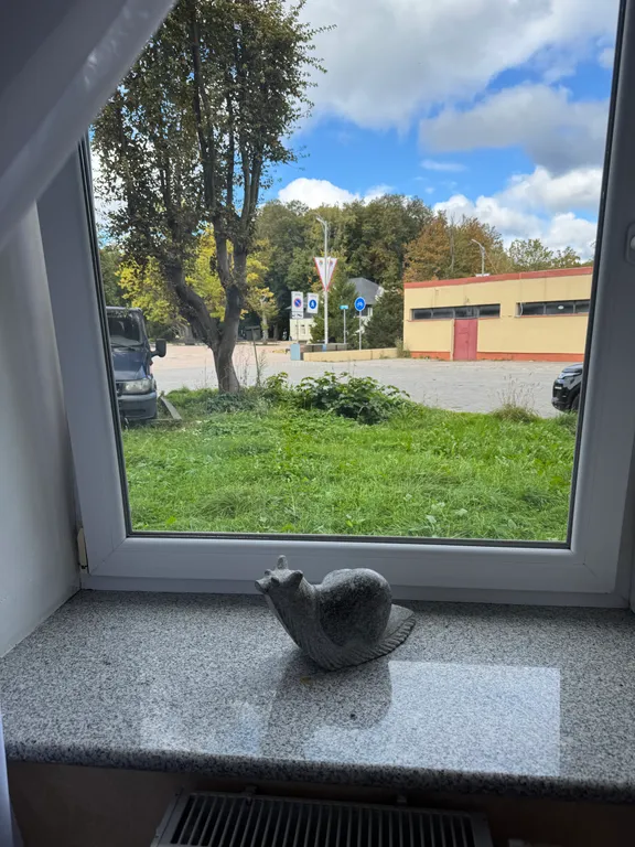 Апартаменты в исторической усадьбе  «Вилле Рут» | Вид на парк и море |