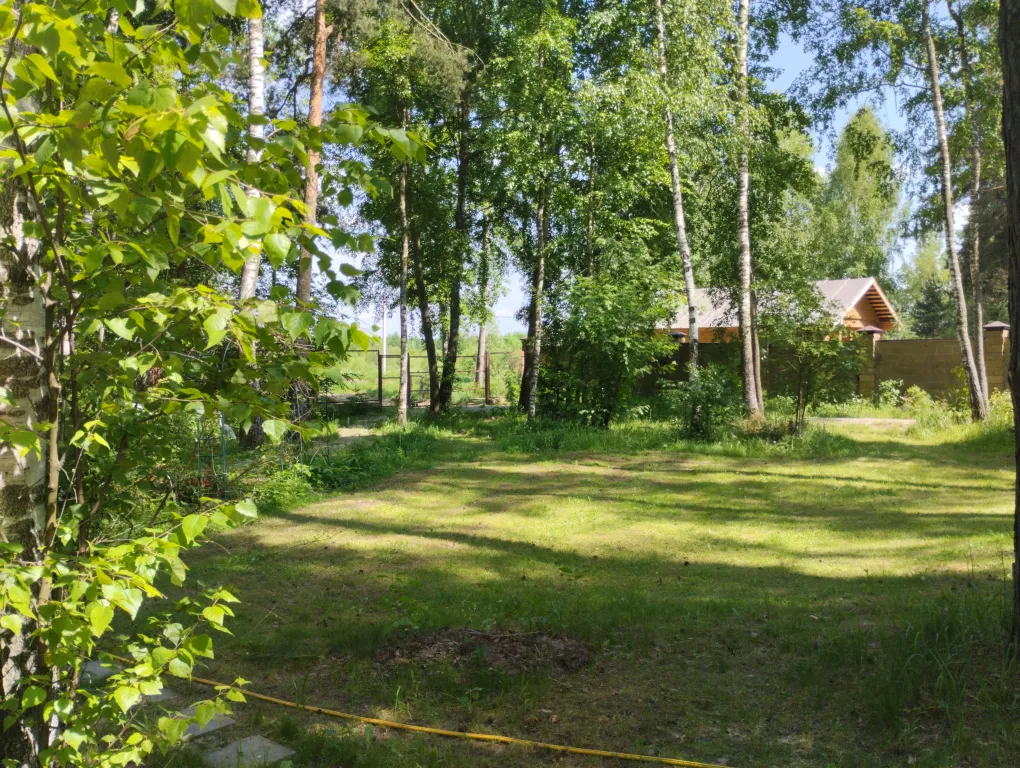 Дом в Шмеленках с гортензиями