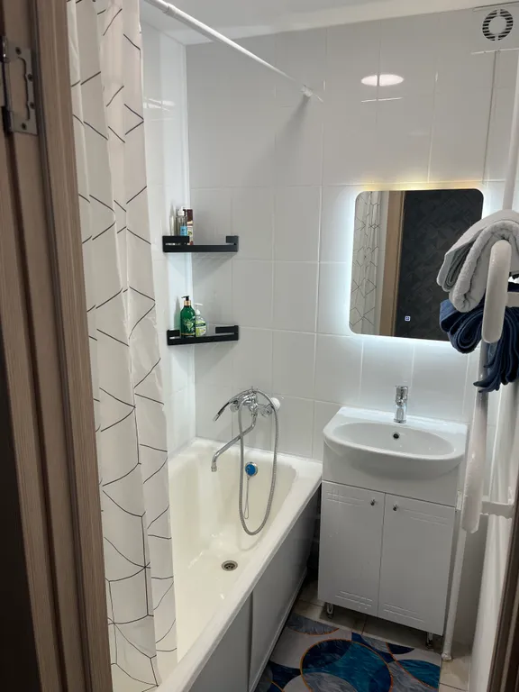 Однокомнатная с кондиционером на Таможне