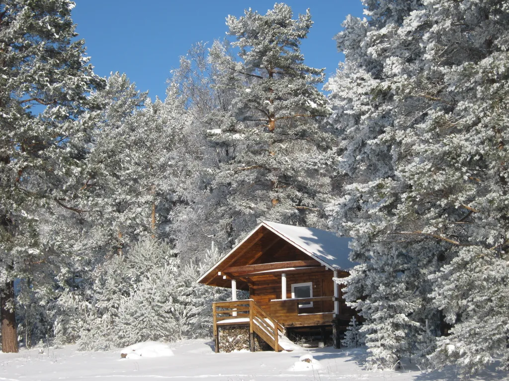 Уютные деревянные домики на Елани