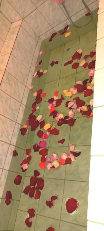 У нас уютно как дома