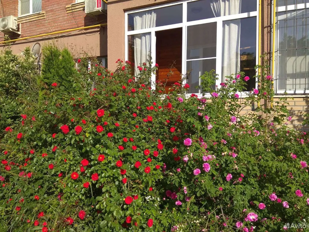 Уютно и тихо