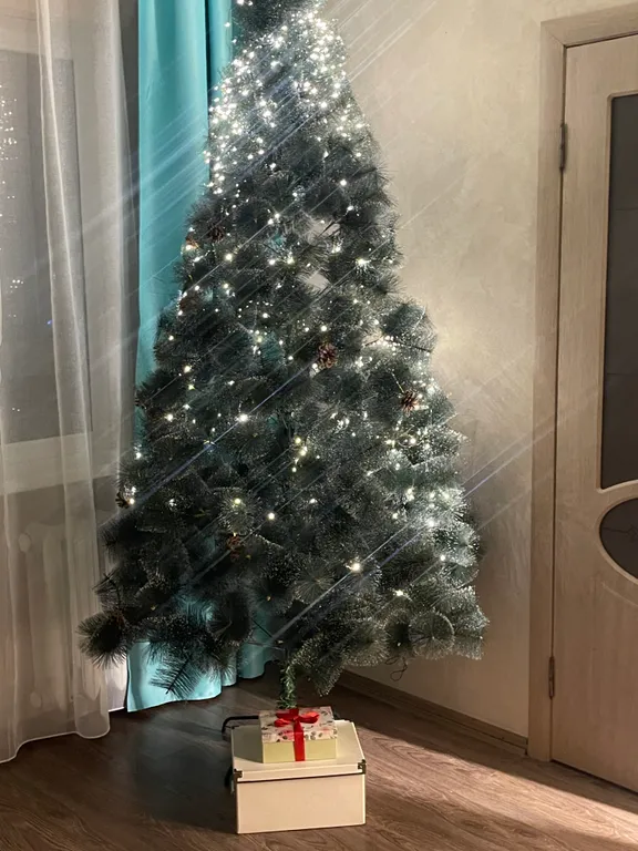 Апартаменты в центре