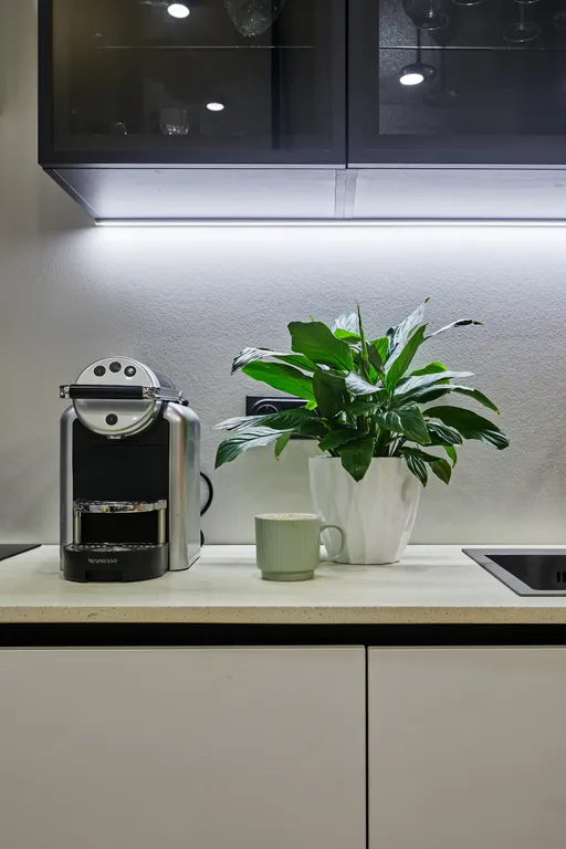 Апартаменты у Петропавловской крепости