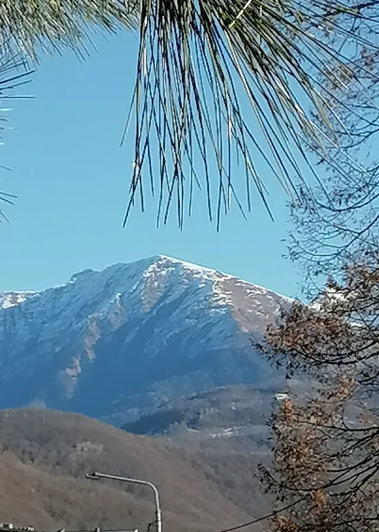 Уютный домик в сердце Красной поляны
