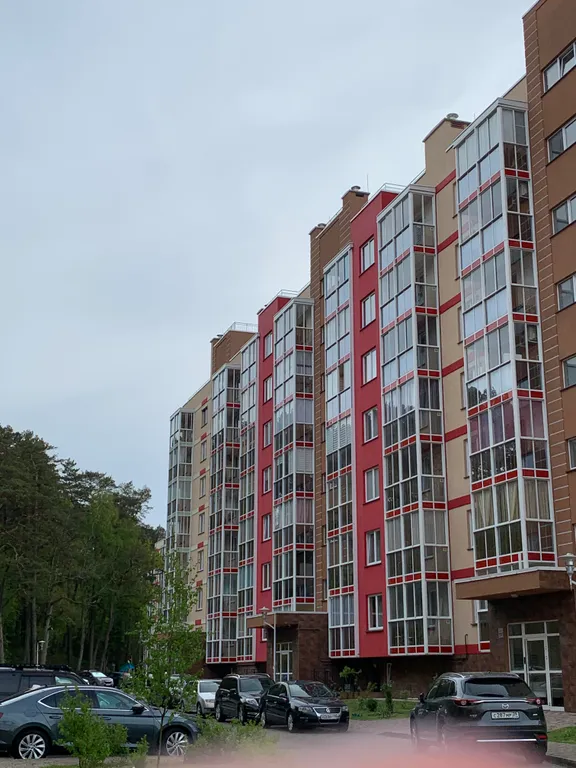 Апартаменты у озера тихое, с видом на лес