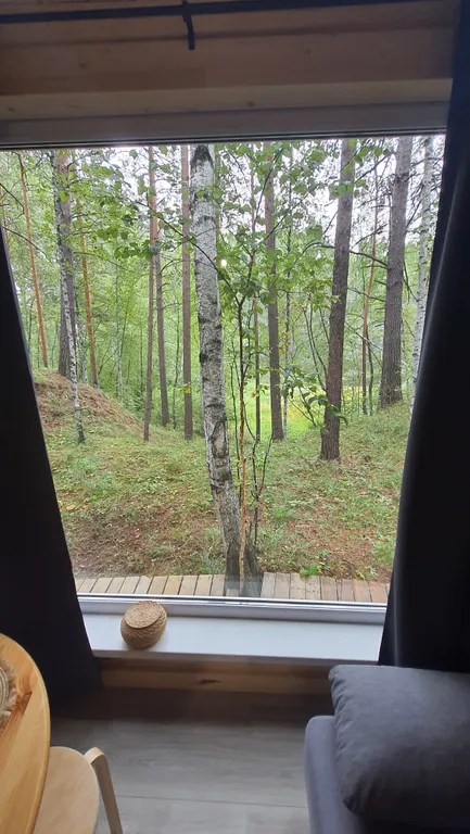 Коттедж Уютный семейный домик Scandi Family в сердце леса — Березовский