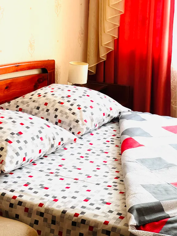 Апартамент на советской площади