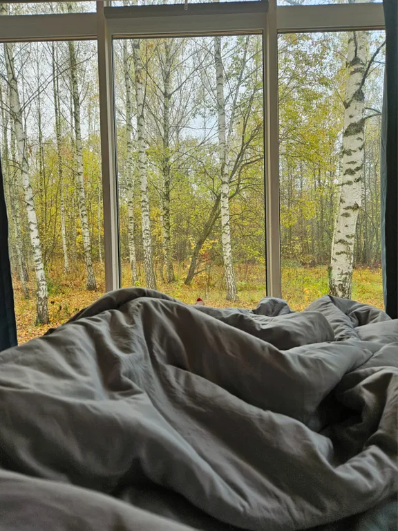 Домик в лесу