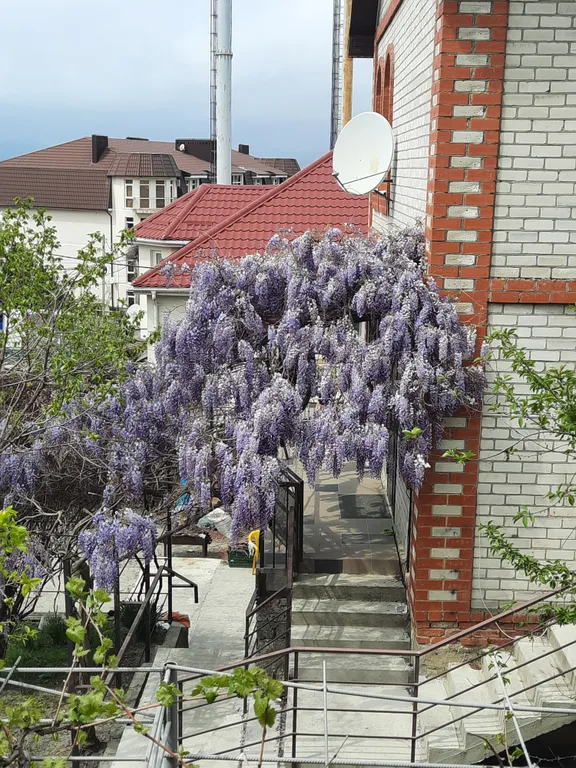 Уютная комната в частном доме
