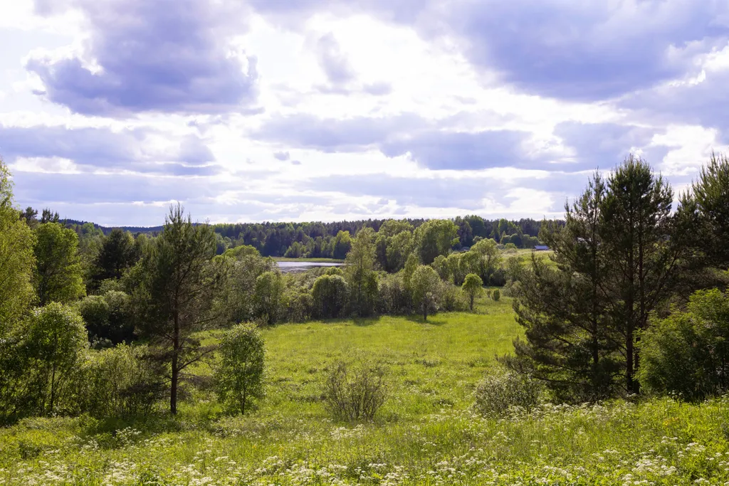 Гостевой дом NordLodge