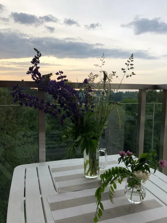 Русская Прибалтика