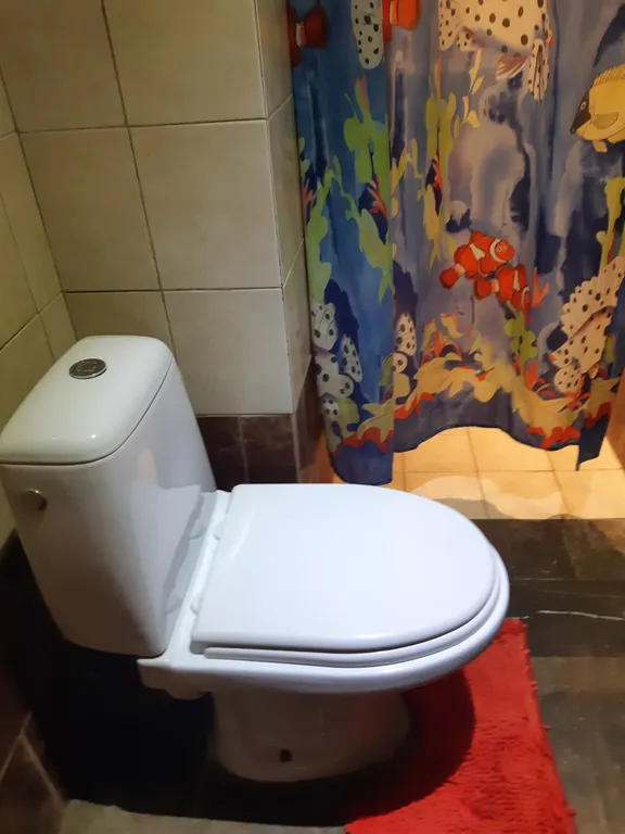 Уютная  однокомнатная  квартира. В историческом  доме  1898  года.