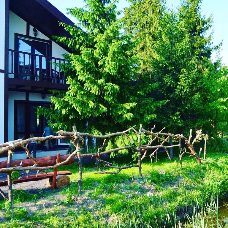 Шале в лесу