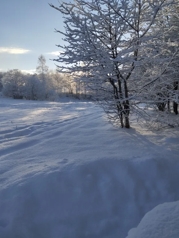 Уютный номер в Лаго-наки