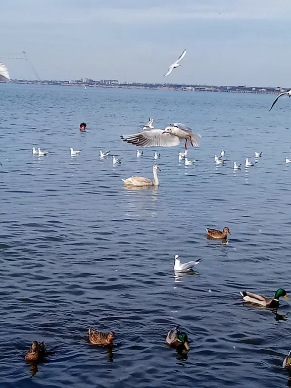 Отдых в уютном, уединенном домике на 6 сотках.