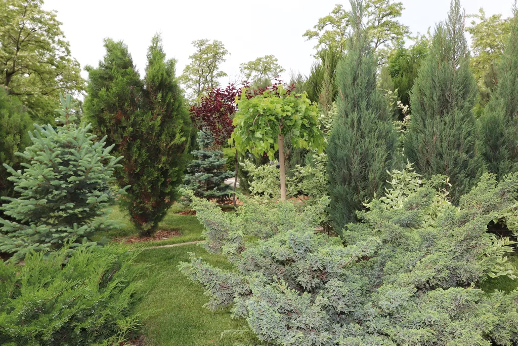 Загородный дом-шале "Pinebrook", аренда, у реки Дон. Сезонный бассейн.