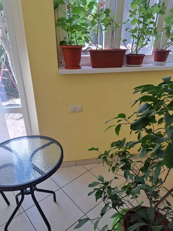 Уютный номер в центре с выходом на Кипарисовую аллею