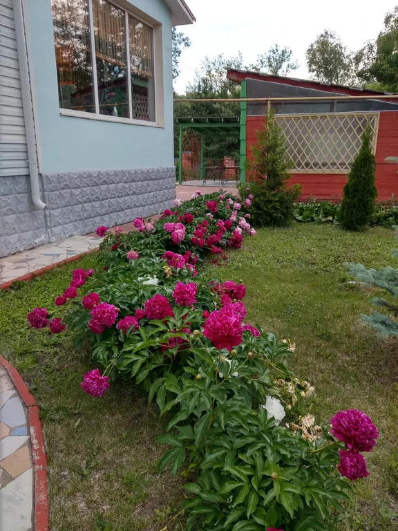 Коттедж Ливерпуль