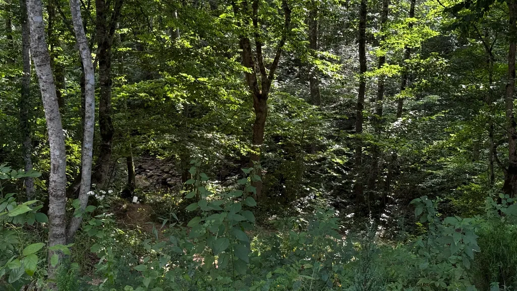 Коттедж на берегу речки