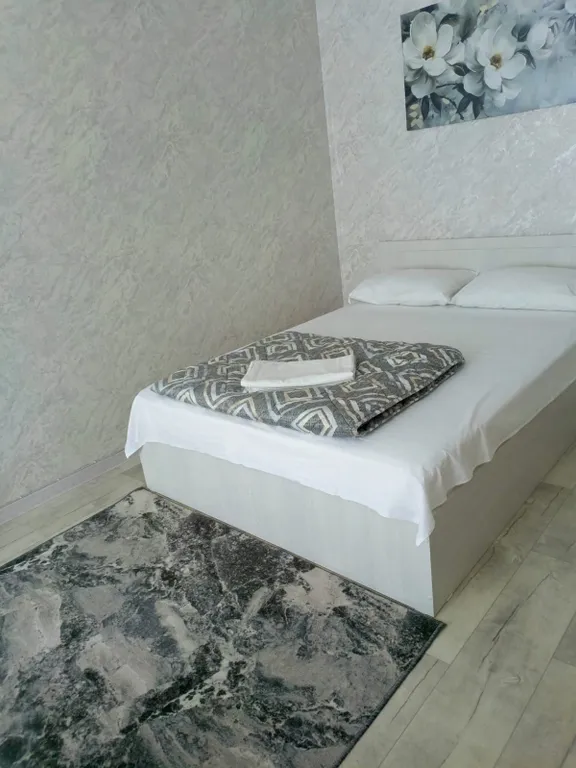 Квартира Уютная однушечка — аренда посуточно в Павловск