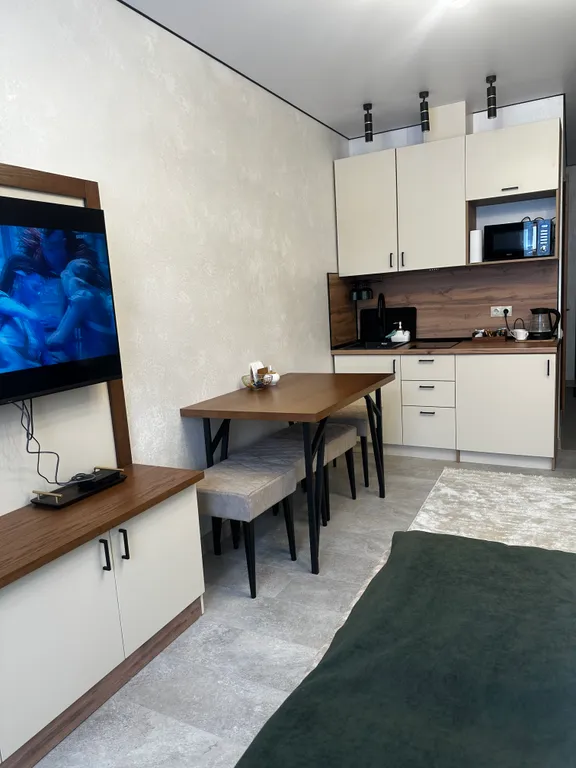 Апартаменты-студия с красивейшими видами из окна на горы