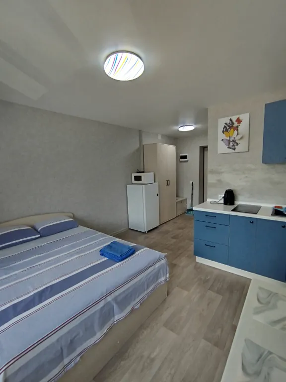 Уютная и чистая квартира-студия — аренда посуточно в Иваново