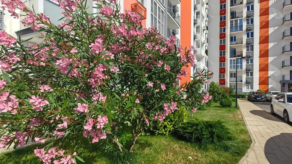 Квартира Квартира ЖК Фрукты Виноград 1035 — Сириус
