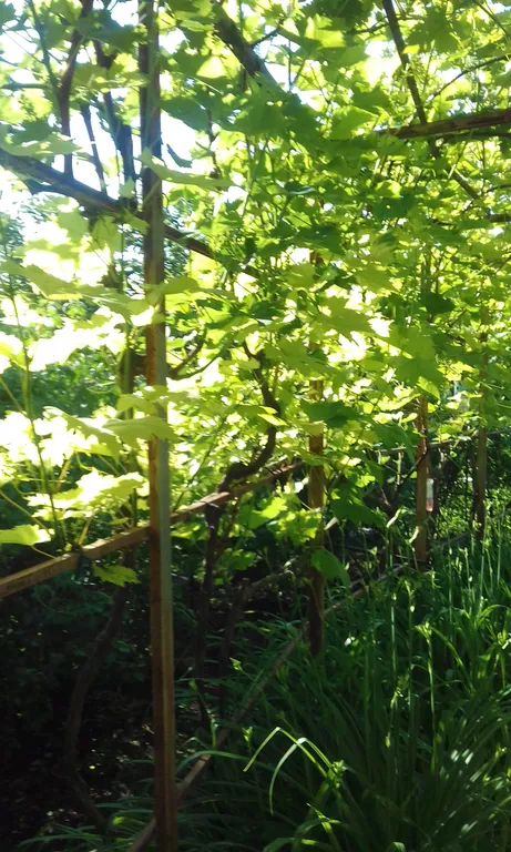 Коттедж Дом Морской бриз — Феодосия