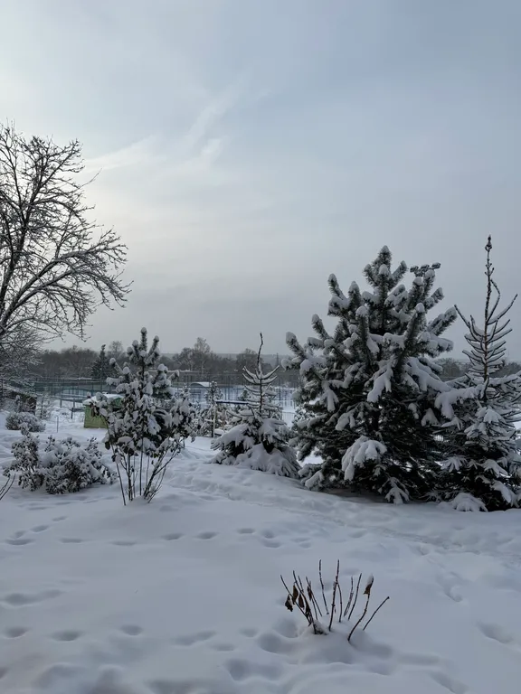 Апартаменты около реки в центре Звенигорода