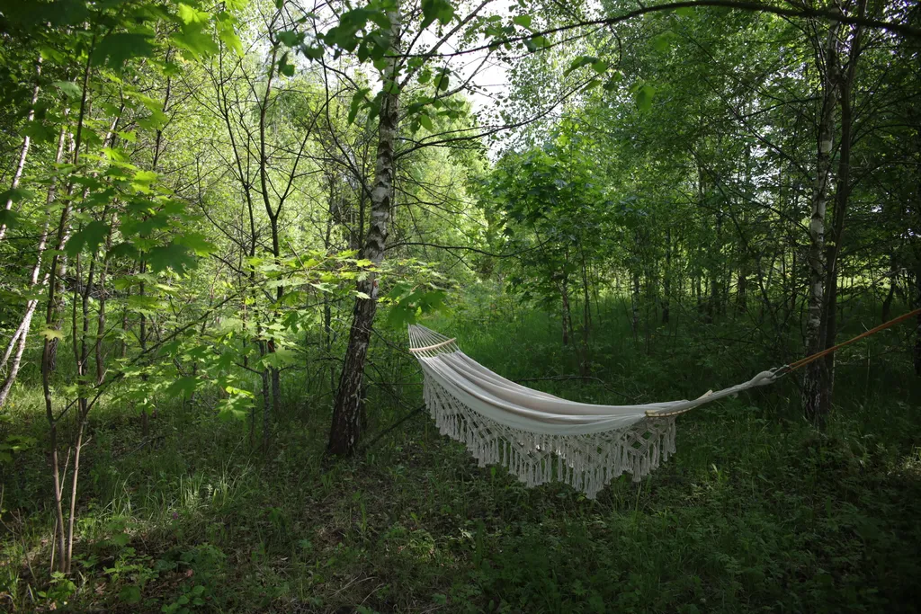 Уникальный треугольный дом в лесу Forest