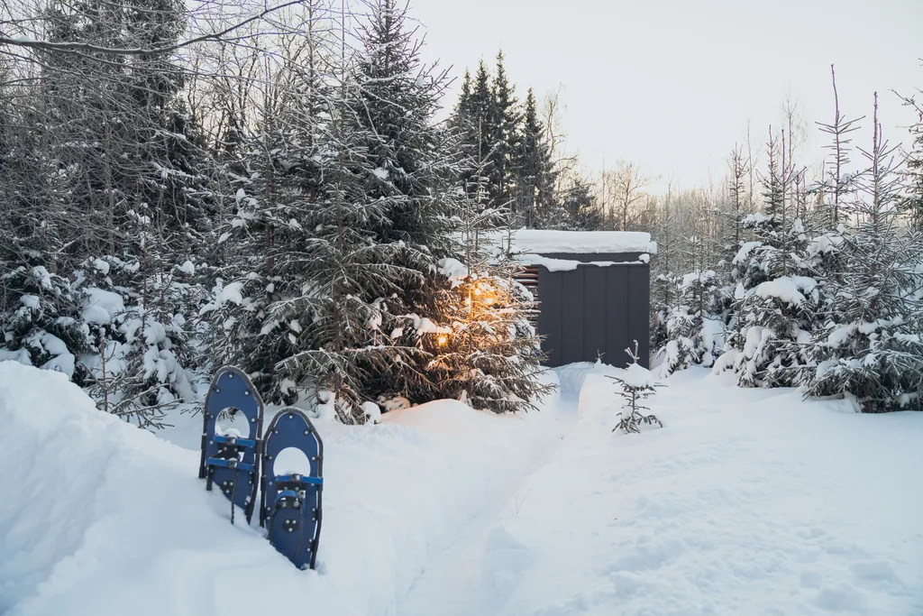 Домик Зов Йети